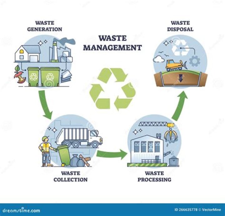 Understanding Pro Disposal Co: Your Go-To Waste Management Solution