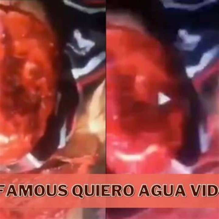 Understanding "Quiero Agua Video Gore": An Exploration of Controversial Art