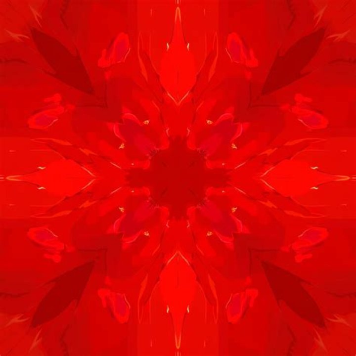 Understanding RedGIF: The Ultimate Guide to GIF Sharing and Creation