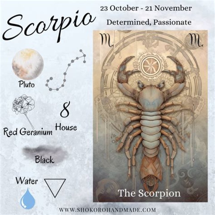 Understanding Scorpio Characteristics: The Depths of a Scorpio Personality