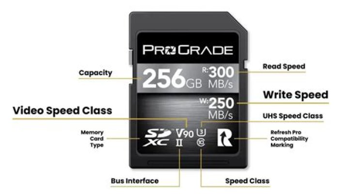 Understanding SD Point In: A Comprehensive Guide
