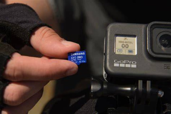Understanding SD Points: A Comprehensive Guide
