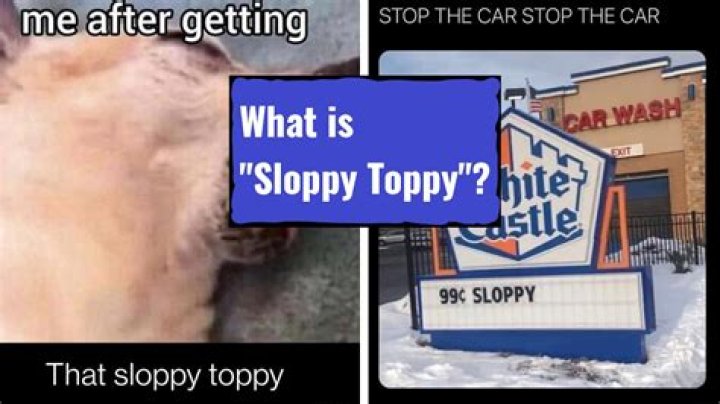 Understanding "Sloppy Top" Meaning: A Comprehensive Guide