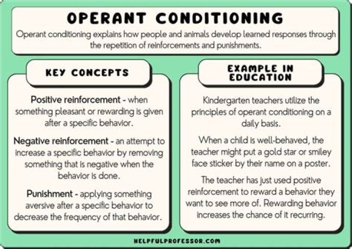 Understanding Stomach Growling Through Operant Conditioning