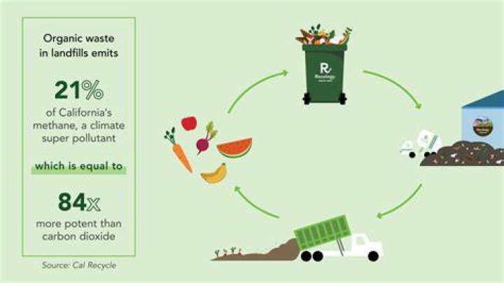 Understanding Temporary Replacement Hungry: Strategies, Impacts, and Solutions