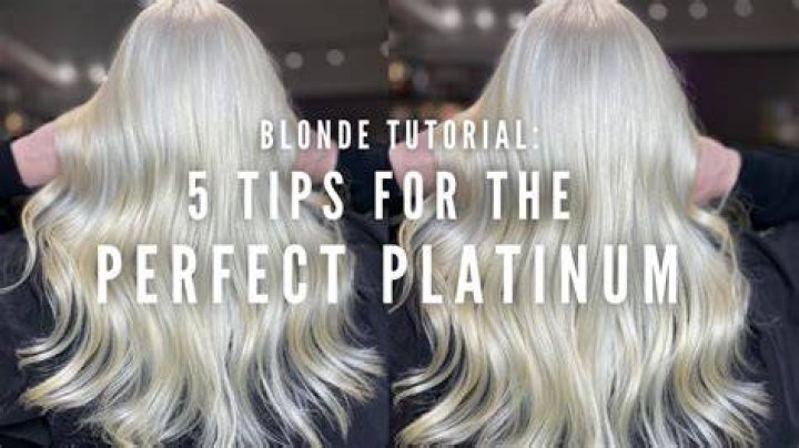 Understanding the Allure of Platinum Blonde Blonde Hair: A Comprehensive Guide