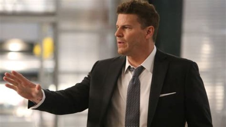 Understanding the Charismatic Persona of Seeley Booth Actor