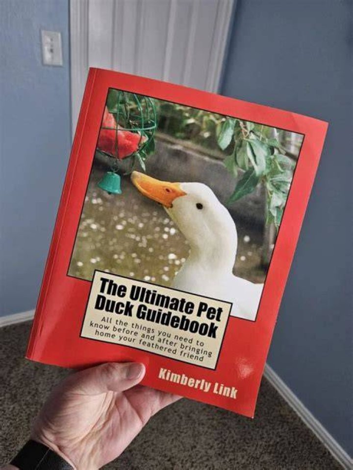 Understanding the Coal Duck: A Comprehensive Guide