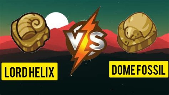 Understanding the Differences Between Helix and Dome Fossils