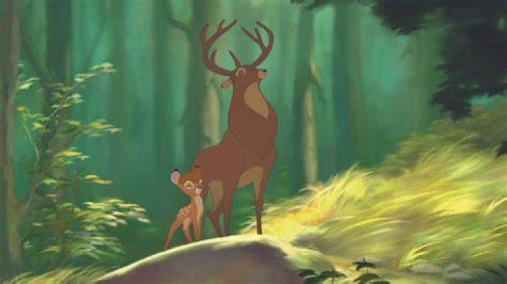 Understanding the Fascinating World of Bambi Cats: A Comprehensive Guide