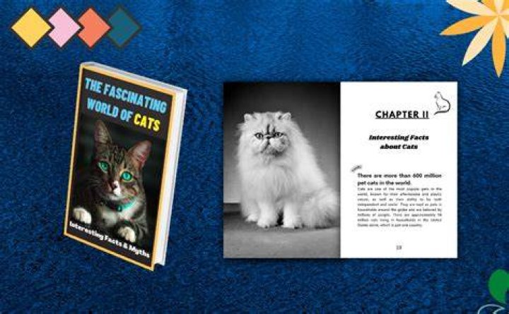 Understanding the Fascinating World of Bambino Cats