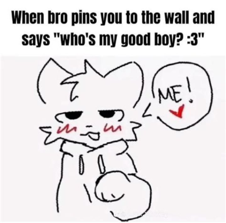Understanding the Good Boy Meme: Origins, Evolution, and Impact