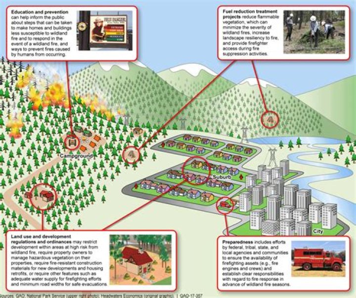 Understanding the Impact of Fires in Washington State: Causes, Effects, and Prevention