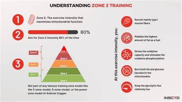 Understanding the Importance of "Zone Tan" for Optimal Sun Exposure