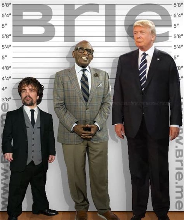 Understanding the Intriguing Details Behind Al Roker's Height and Life