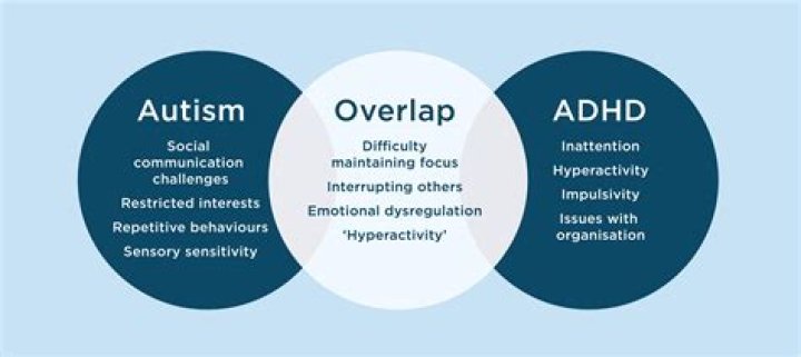 Understanding the Overlap: Why Don't Autistic People Know They're Stalking Someone?