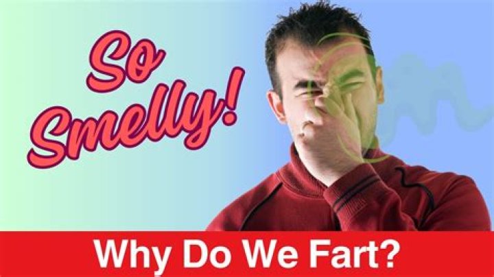 Understanding the Phenomenon of "President Fart": A Comedic and Cultural Exploration