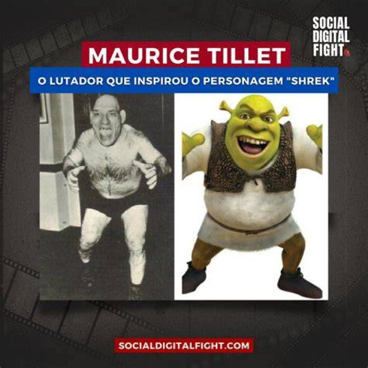 Understanding the Phenomenon of "Tillet Shrek"