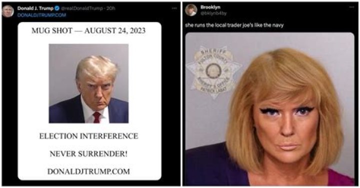 Understanding the Trump Mugshot Meme Phenomenon: A Cultural Commentary