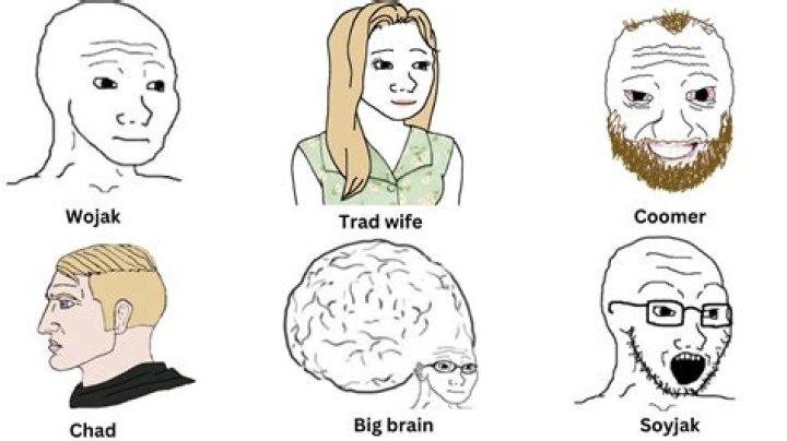 Understanding the Wojak Fat Girl Meme: A Deep Dive into Internet Culture