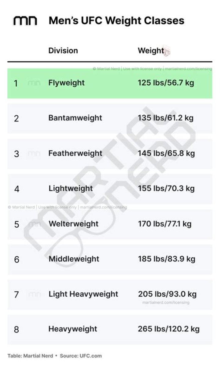 Understanding UFC Flyweight Rankings: A Comprehensive Guide