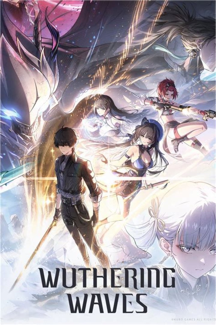 Understanding WuWa 1.1: A Comprehensive Guide
