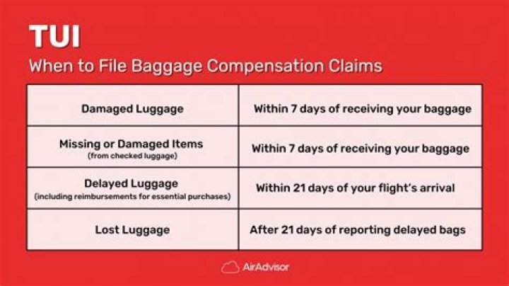 United Compensation for Delayed Baggage: What You Need to Know