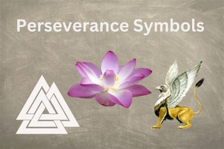 Universal Symbol for Perseverance: Unraveling the Essence of Determination