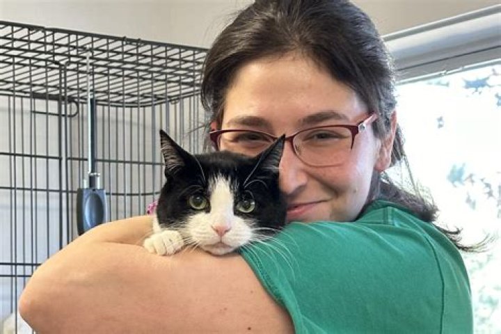 Unleashing Hope: The Heartwarming Journey of Hamptons Animal Rescue