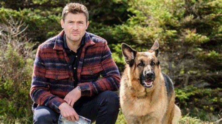 Unleashing the Mystery: The Charismatic Duo of Hudson and Rex