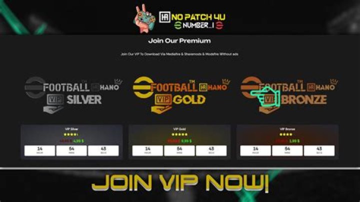 Unlocking the Benefits of E 4U VIP Membership