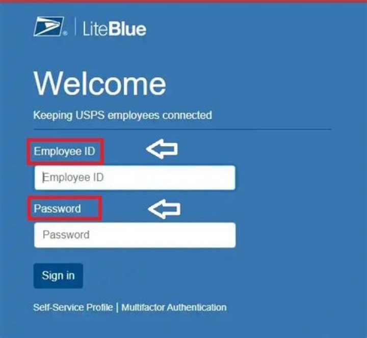 Unlocking the Benefits of USPS LiteBlue ePayroll