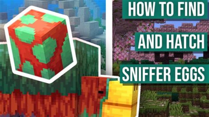 Unlocking the Secrets: How to Hatch a Sniffer Egg