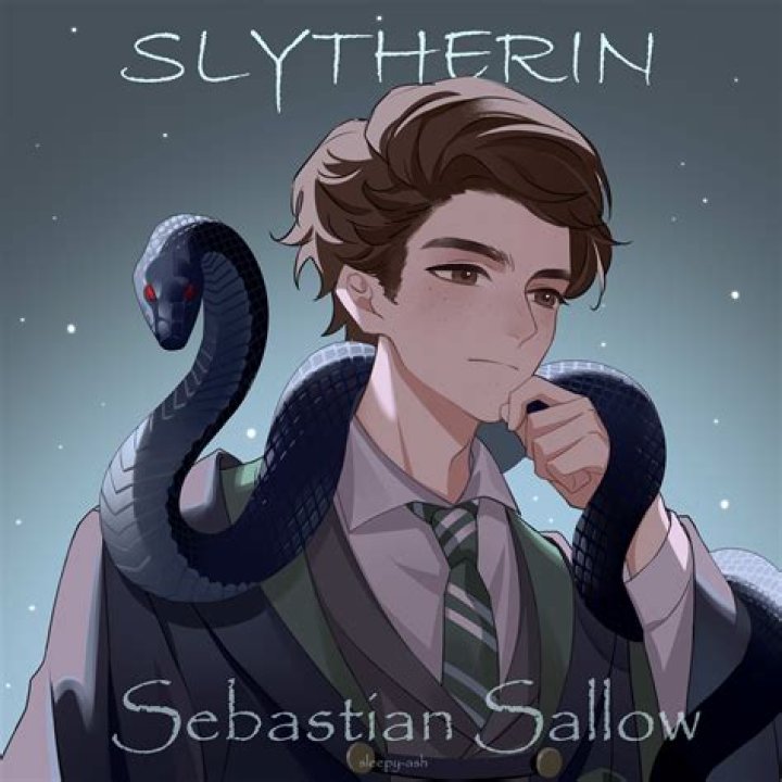 Unraveling the Life and Legacy of Sebastian Sallow
