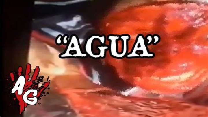 Unraveling the Mystery Behind the "Quiero Agua Gore Video"