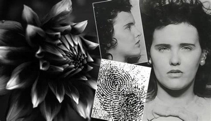 Unraveling the Mystery of the Black Dahlia: The Death That Shocked America