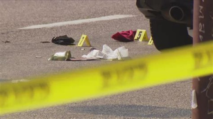 Unraveling the Mystery of the Mountain Hawk Park Chula Vista Incident
