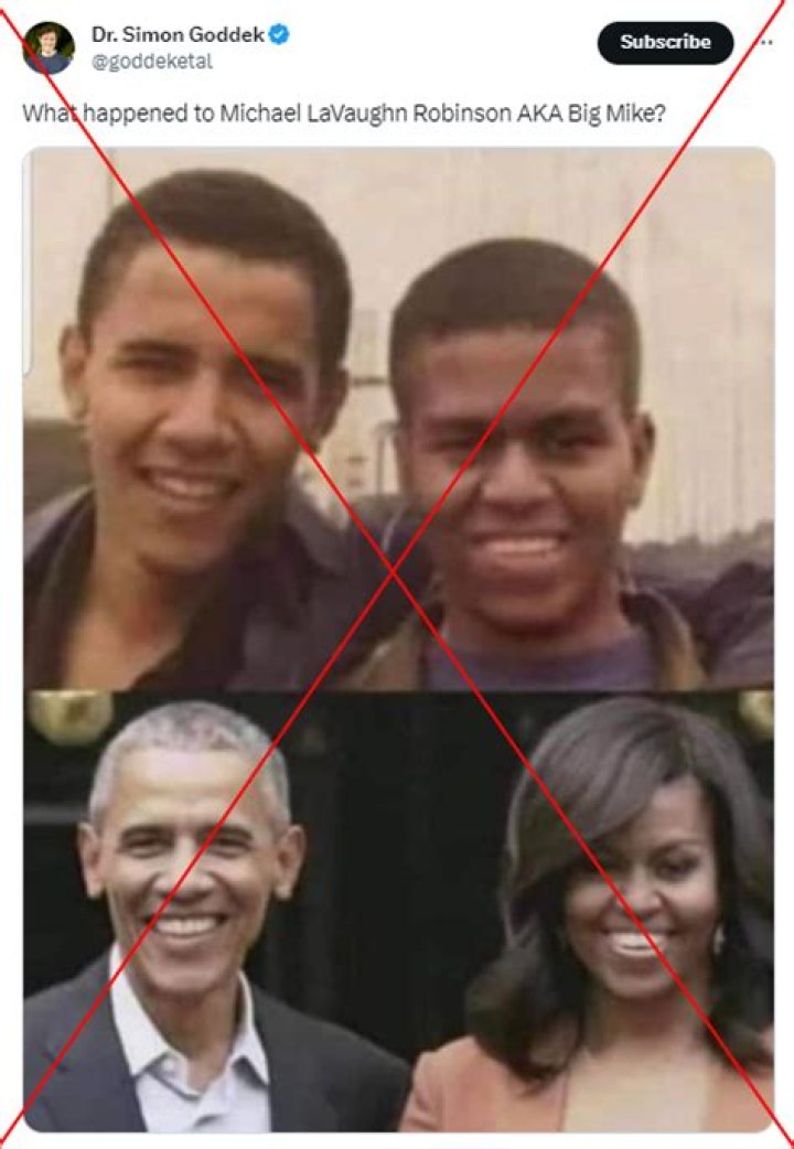 Unraveling the Truth: Is Michelle Obama Trans?