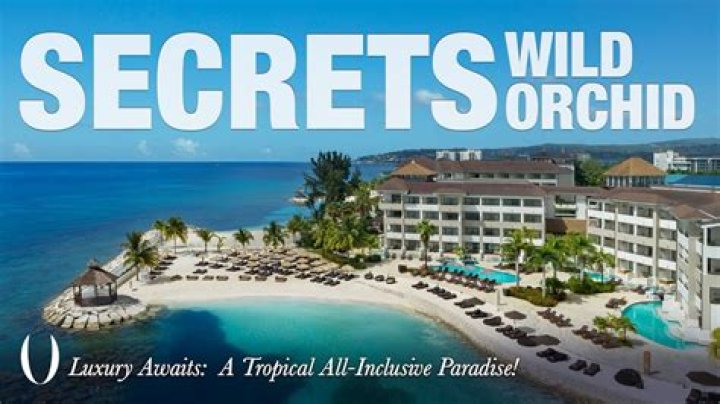 Unveiling the Allure of Secrets Wild Orchid Montego Bay, Jamaica Caribbean