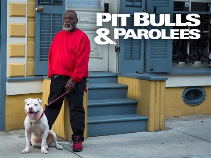 Unveiling the Compassion: Pitbulls and Parolees