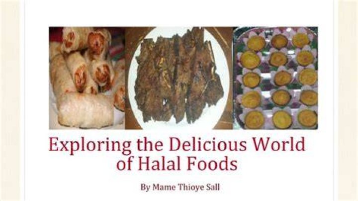 Unveiling the Delicious World of Halal Burgers