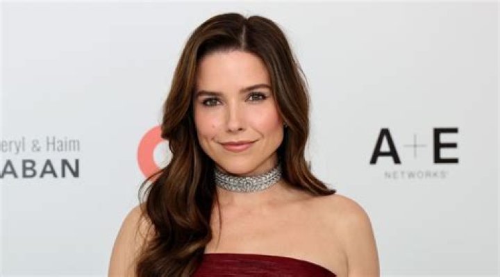 Unveiling the Financial Journey: Sophia Bush Net Worth