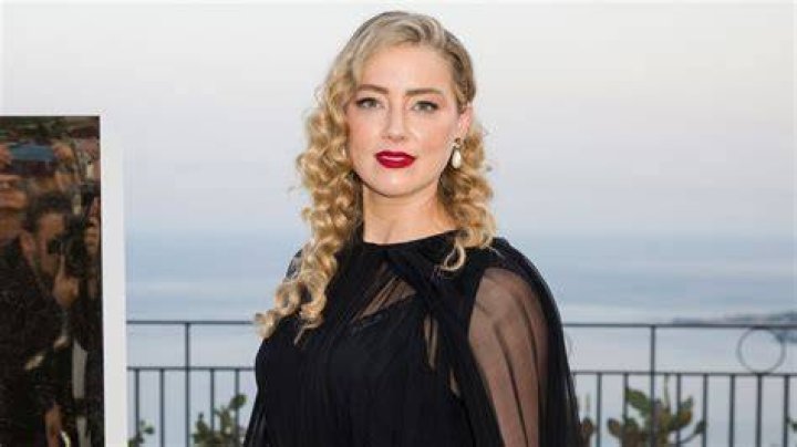 Unveiling the Life and Journey of Amber Heard
