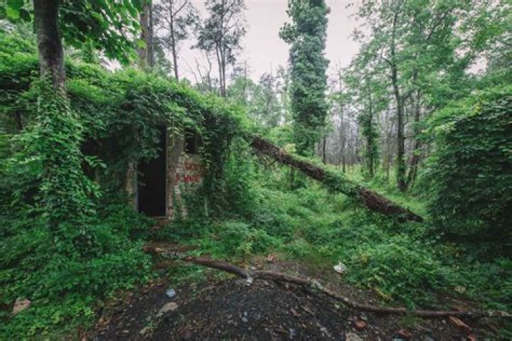 Unveiling the Mysteries of Corpsewood Manor