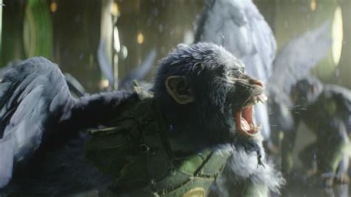 Unveiling the Mystique of the Flying Monkey