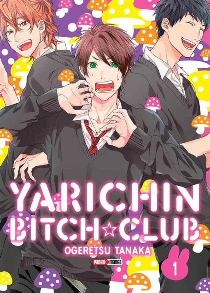 Unveiling the Mystique of the Yarichin Bitch Club