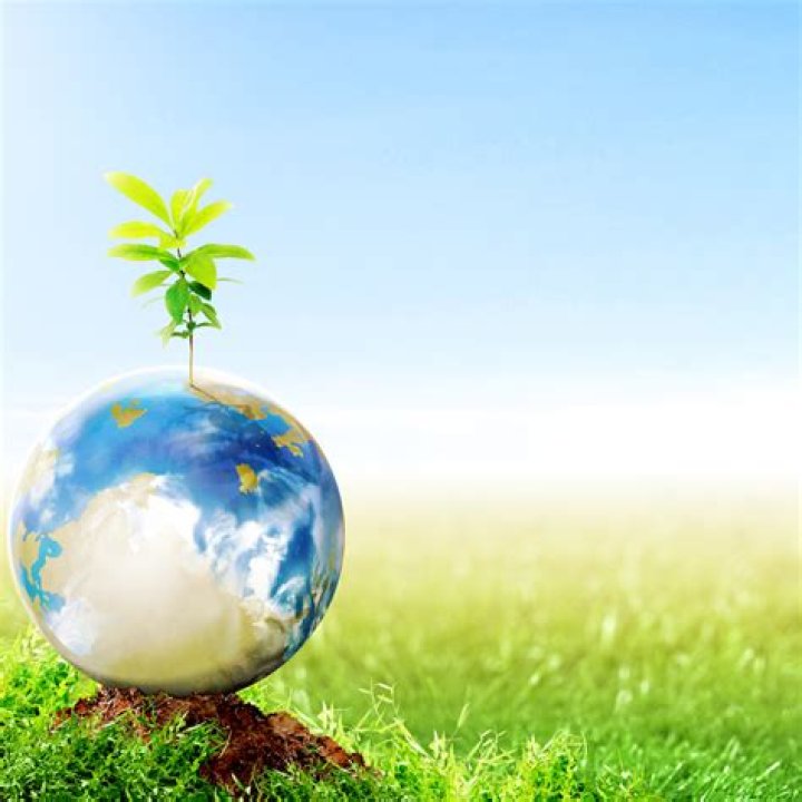 Veganovies: A Deep Dive into Plant-Based Living and Its Impact