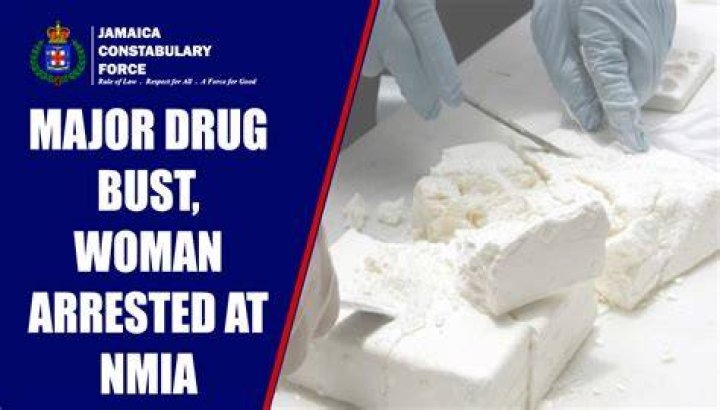 Vineyard Chase: Breaking News on Major Drug Bust