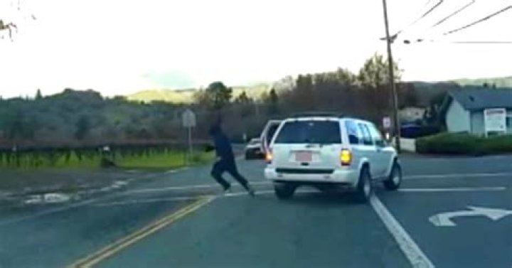 Vineyard Chase Unveils Drug Bust: A Shocking Turn of Events