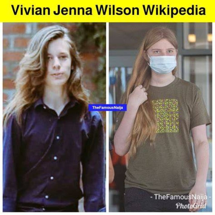 Vivian Jenna Wilson Net Worth: An In-Depth Analysis